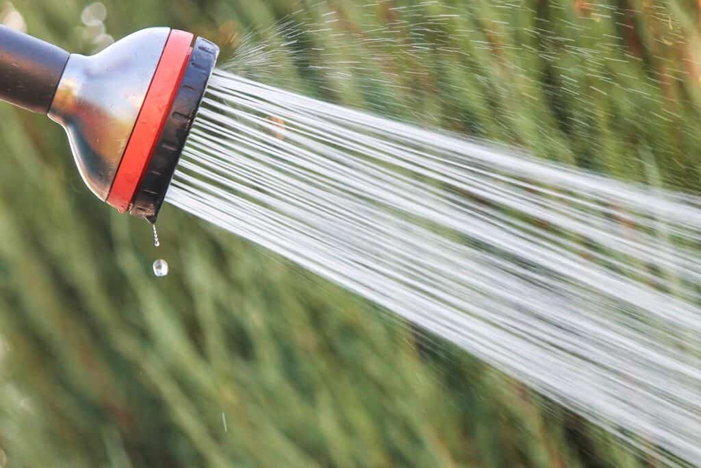 Water coming out of a spray hose