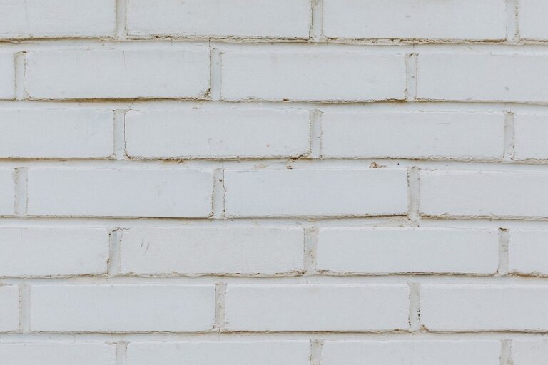 How to Clean Painted Brick CleanerWiki
