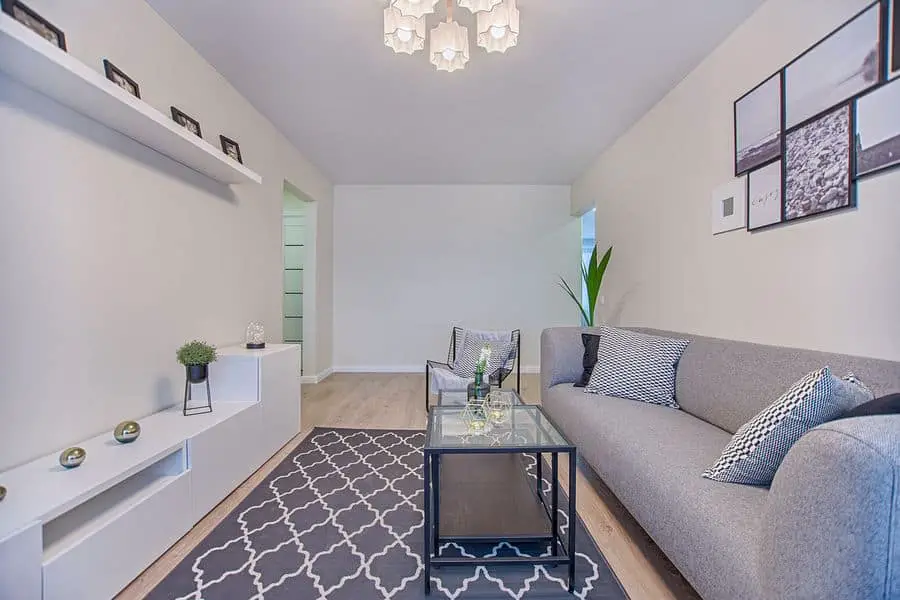 Living room area with a printed gray polypropylene rug