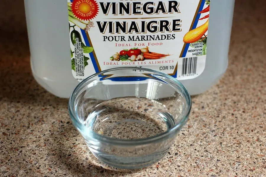 Vinegar mixed with water used for cleaning seagrass rug
