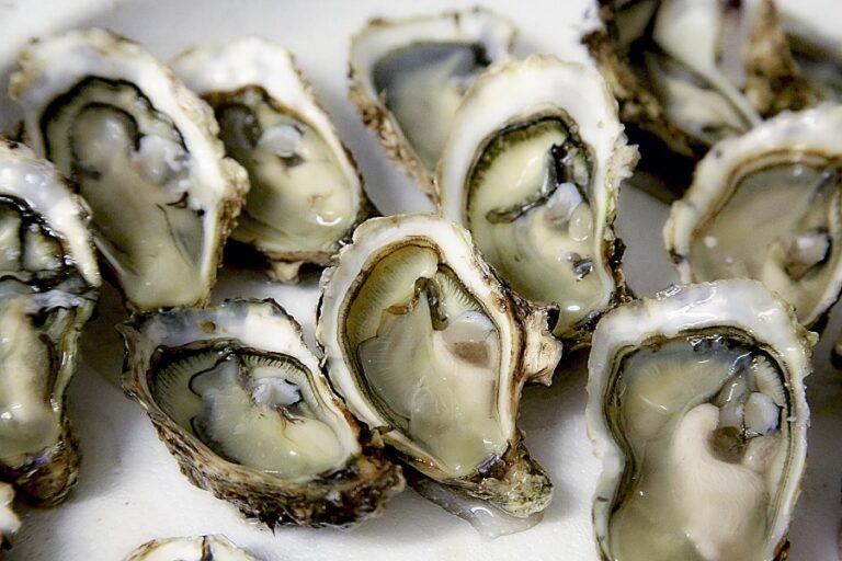 How to Clean Oyster Shells for Crafts CleanerWiki