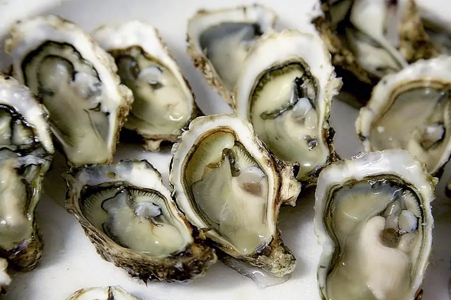 Opened raw oysters