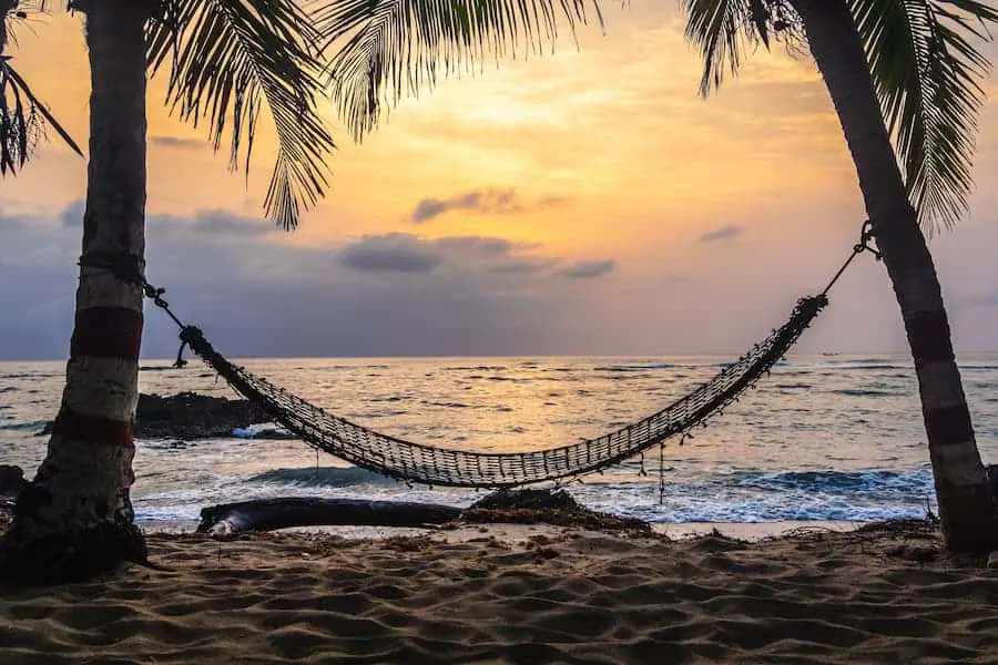 Black rope hammock hanging between coconut tree