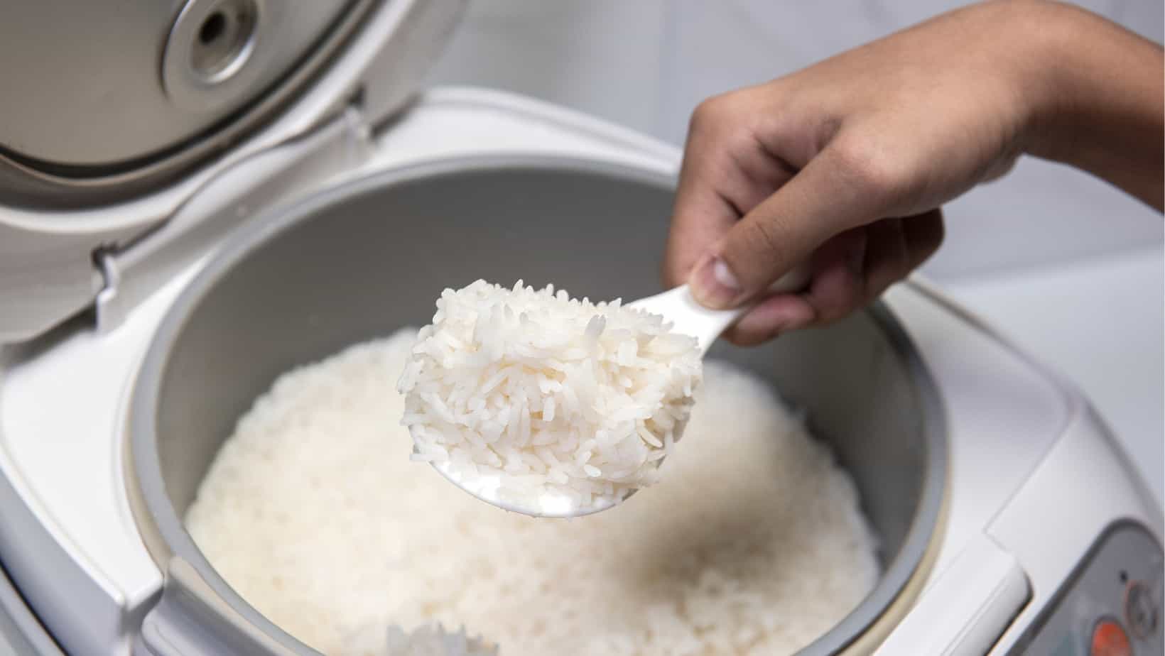 How To Clean a Rice Cooker | CleanerWiki