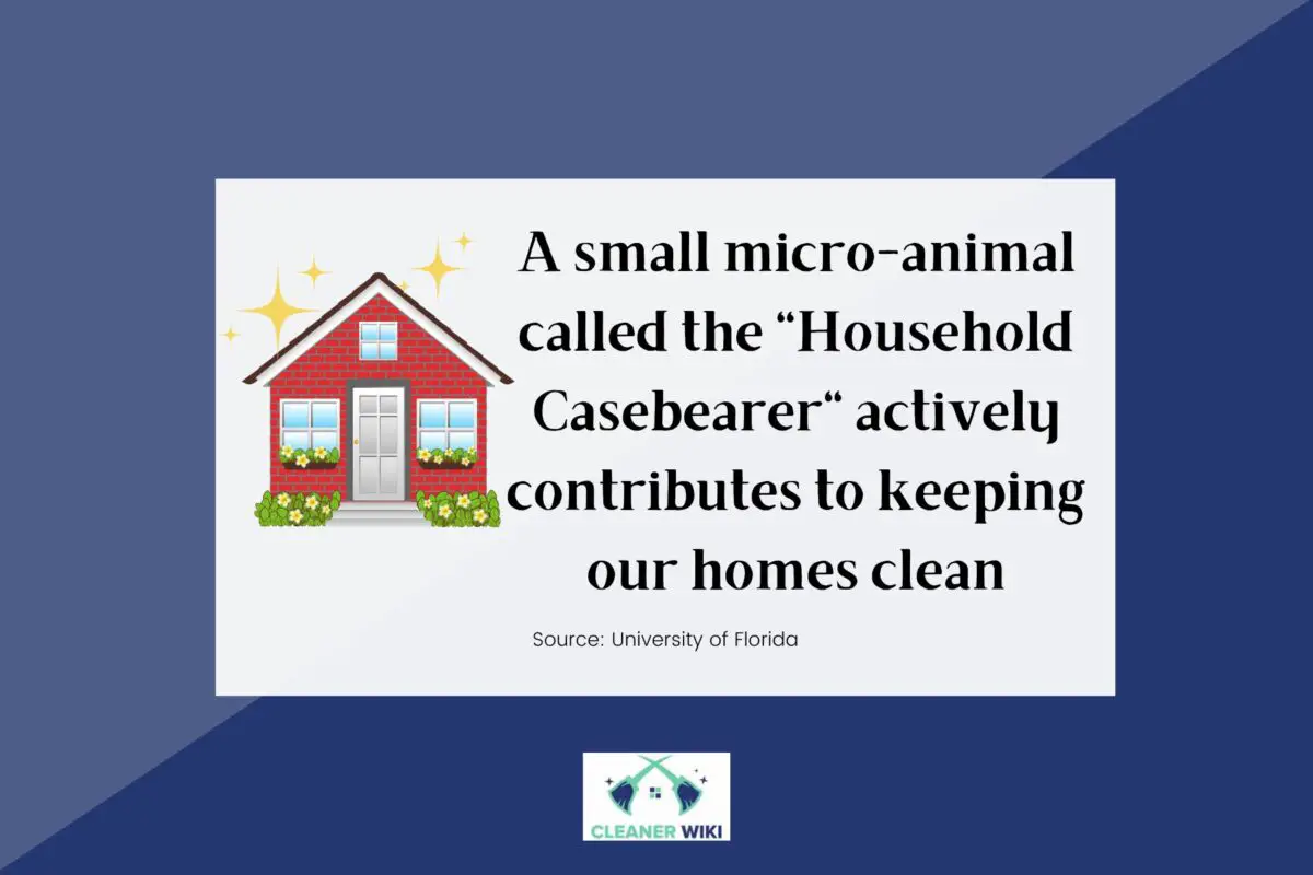 A fact about a micro-animal called "household casebearer"
