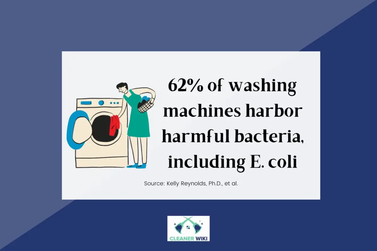 Facts about harmful bacteria in washing machines