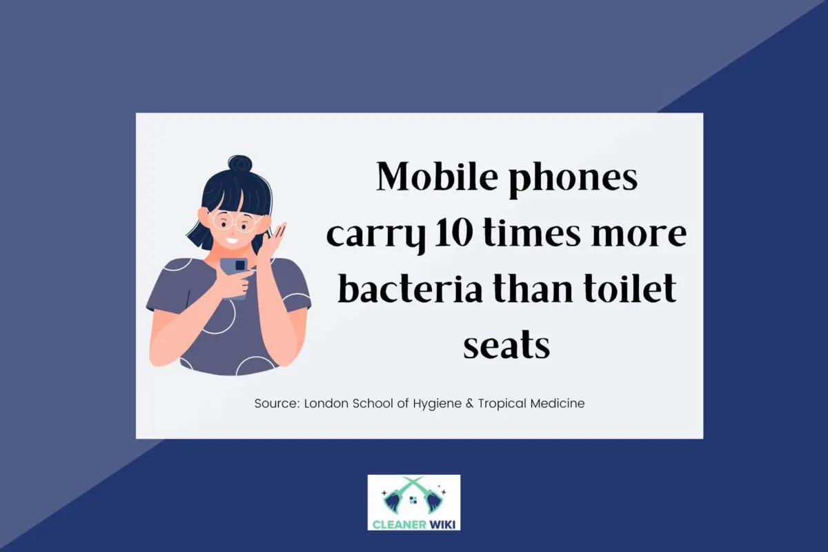 Facts about bacteria in Mobile phones