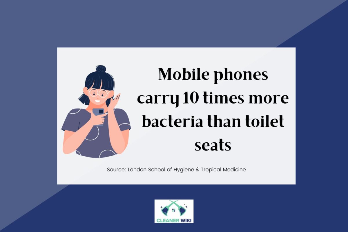 Facts about bacteria in Mobile phones