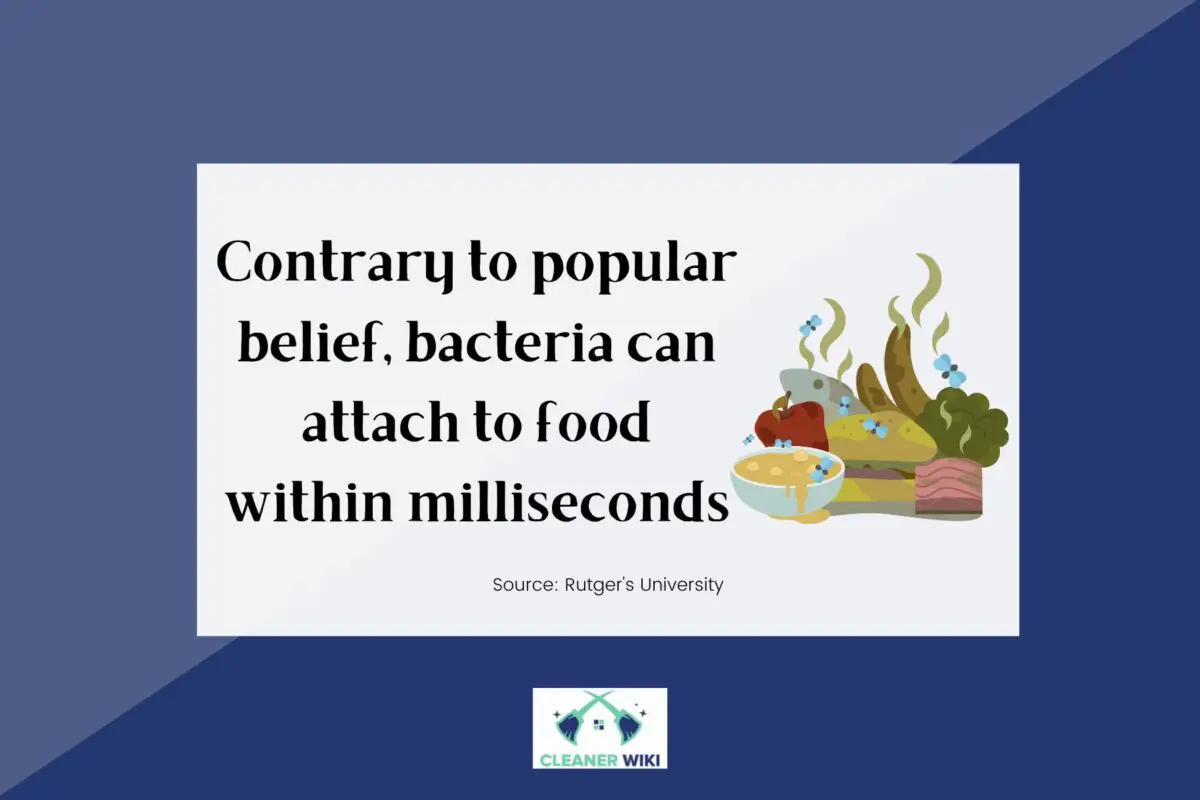 Fact about how fast a bacteria can attach to food