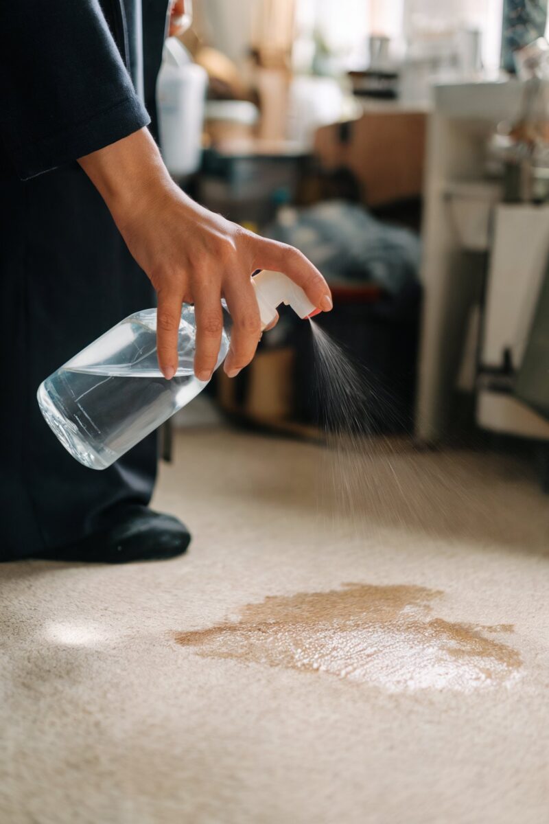 A person spraying a cleaning solution on a carpet stain