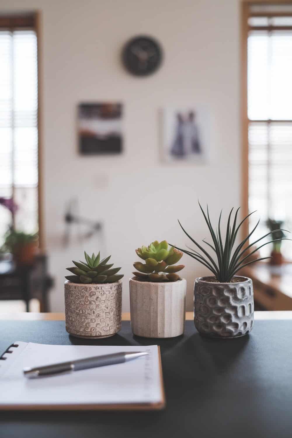 Aesthetic desk setup with three small potted plants, a notebook, and a pen.