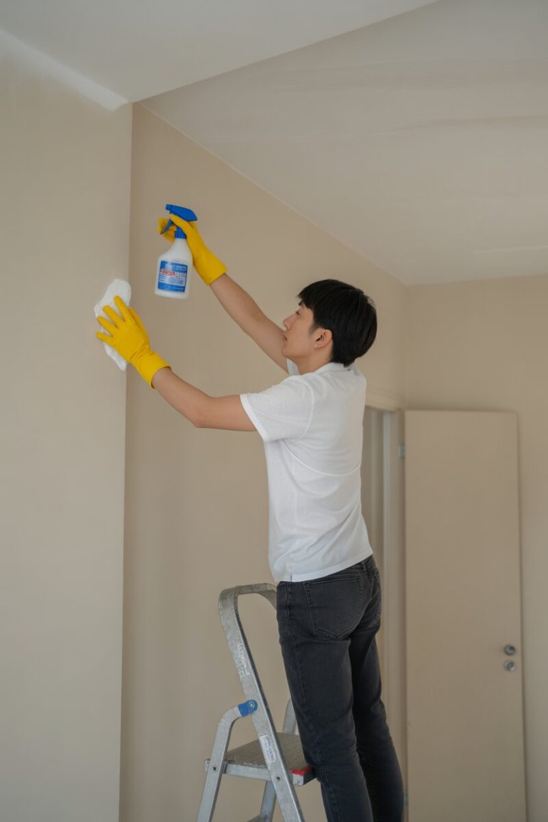 A person cleaning a wall with a spray bottle while standing on a ladder.