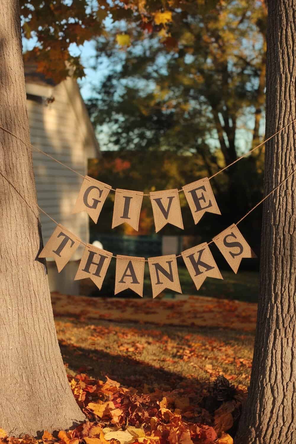 A rustic 'Give Thanks' banner hanging between two trees with autumn leaves on the ground.