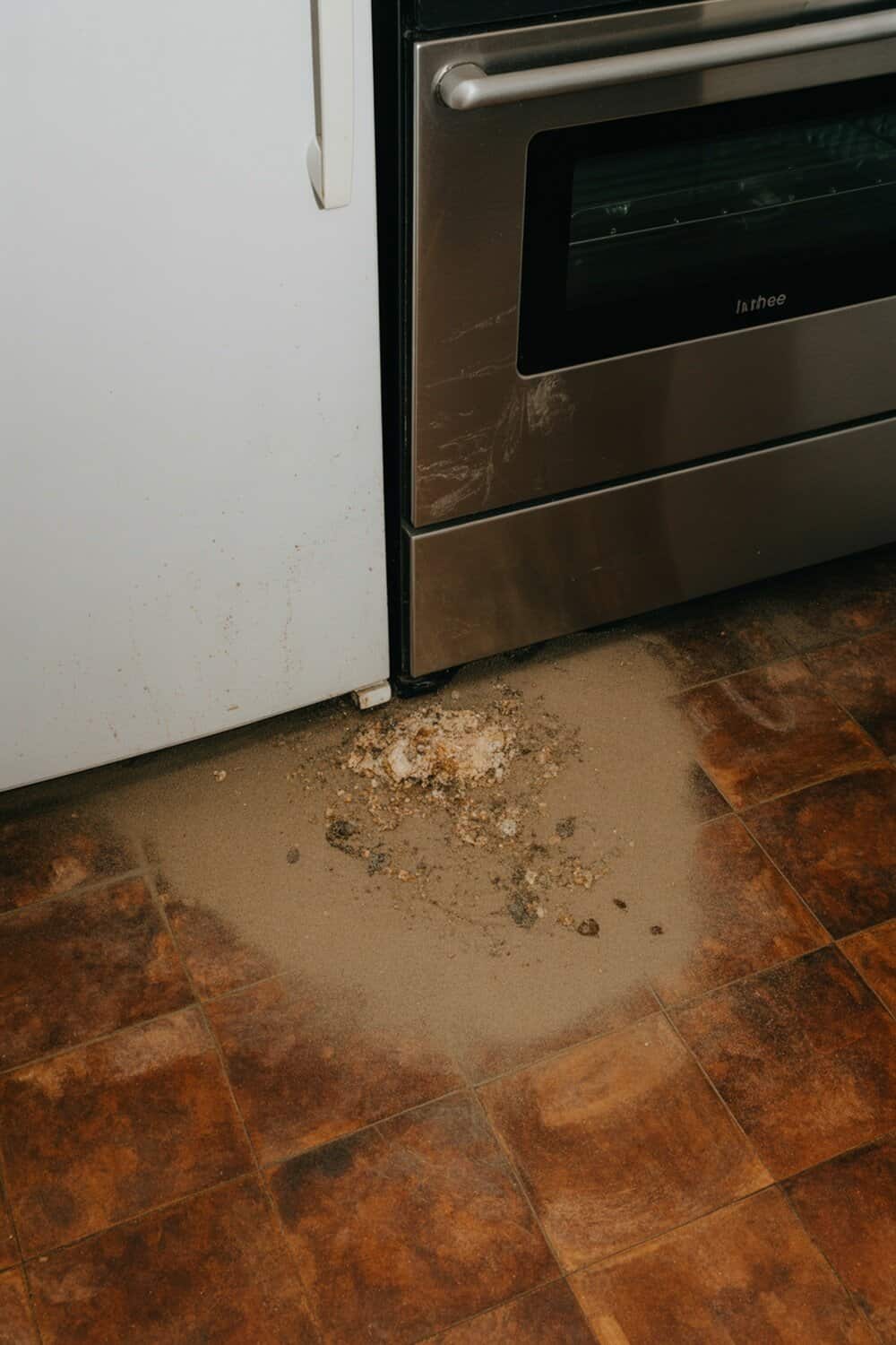Dust and debris under a refrigerator and oven.