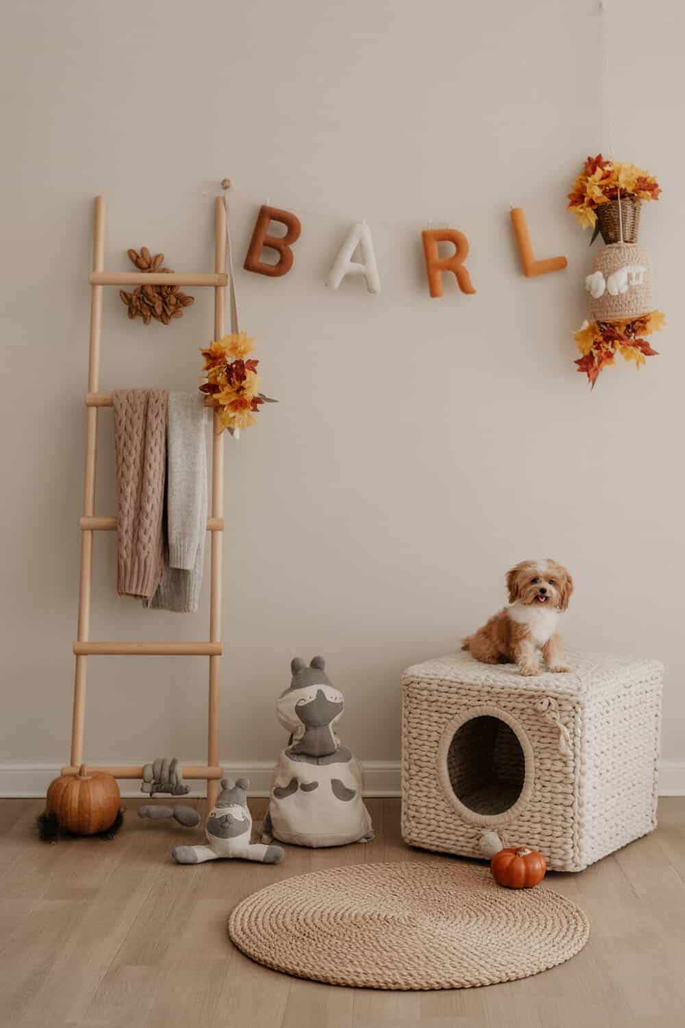 A cozy pet area with a small dog sitting on a woven box, surrounded by toys and autumn decorations.