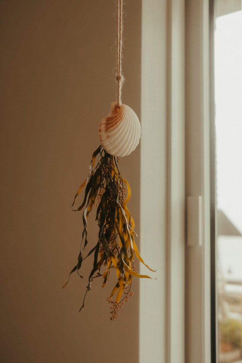 A decorative shell hanging with seaweed, evoking an ocean breeze essence.