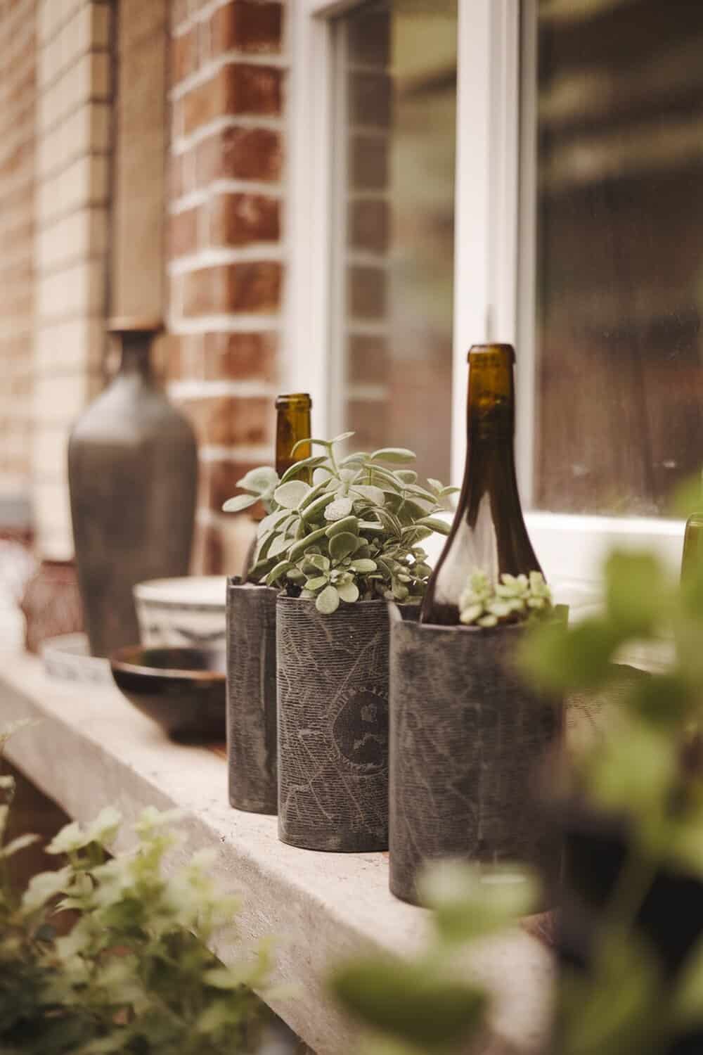 Upcycled wine bottle planters with plants on a windowsill.