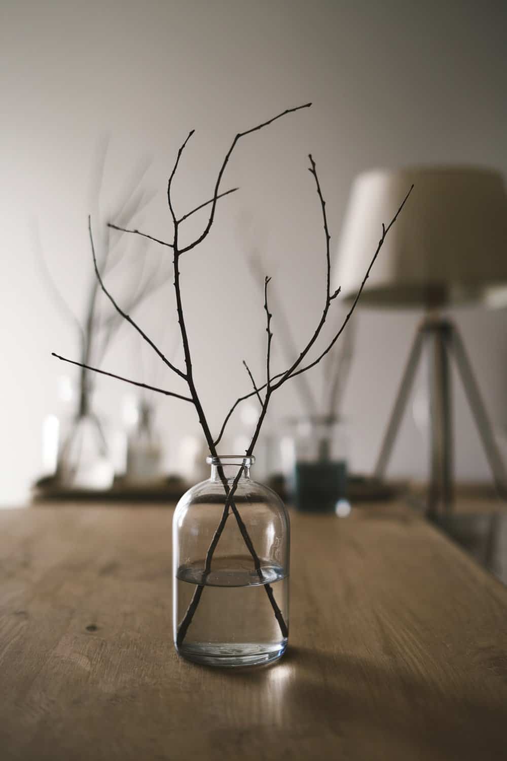 A simple glass vase with twigs arranged in water on a wooden table.