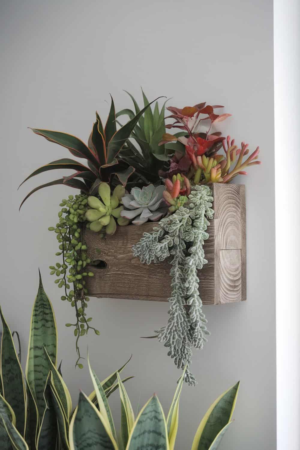 A wooden wall-mounted planter filled with various plants, showcasing a vibrant and fresh look.